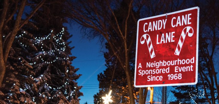 candy-cane-lane-opens-december-8-here-s-what-to-know-before-you-go