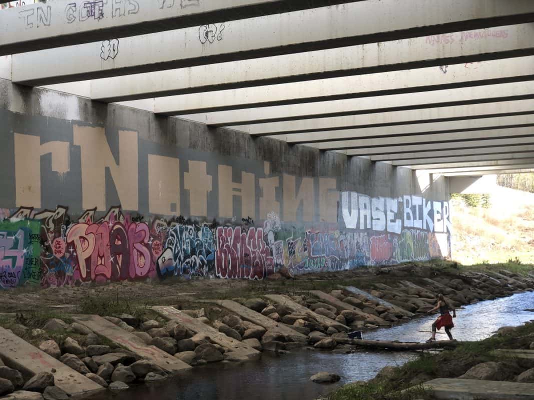 wildlife underpass