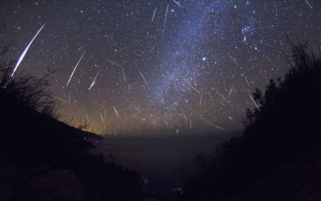 Meteor Shower Pajama Party at Devonian Gardens 8/14