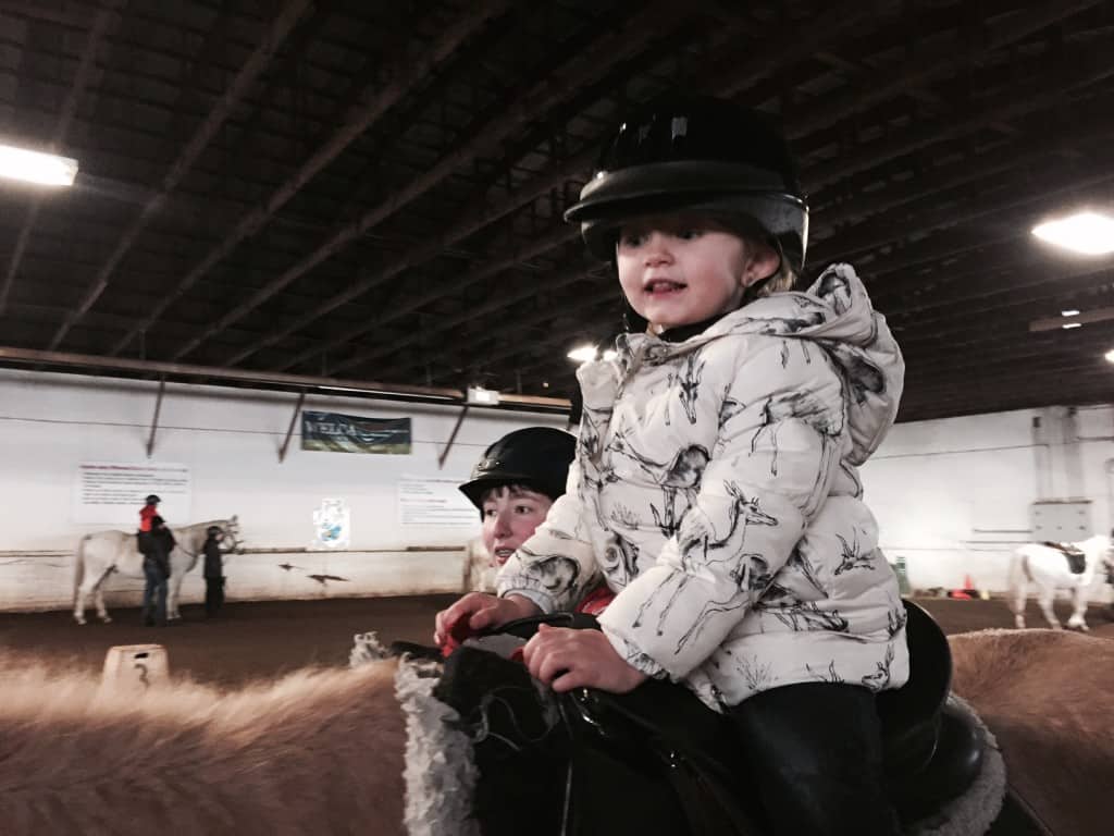 Whitemud Equine Centre Family Fun Day (And Guided Pony Rides) 2/15