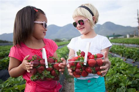 edmonton farms pick navigation