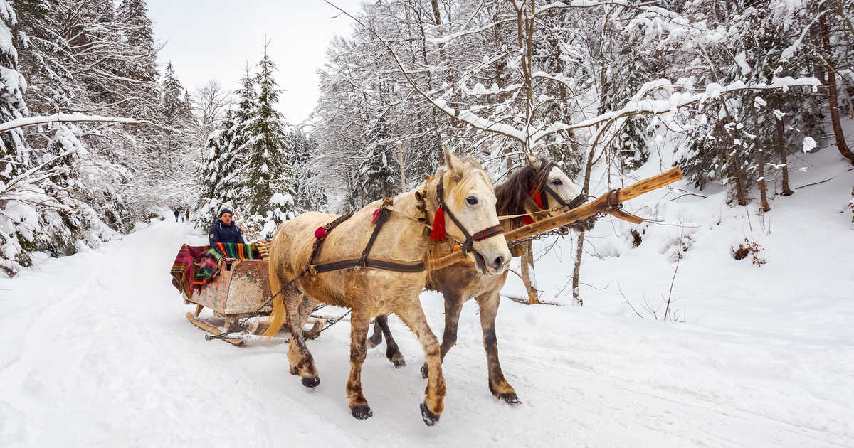 There is Free Skating Train & Sleigh Rides at Bonnie Doon this Weekend ...